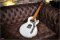 Paoletti Richard Fortus Signature Jr Series