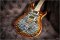 Prs Wood Library Custom 24