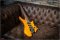 Strandberg Boden Fusion Nx6