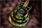 Gibson Custom Shop Zakk Wylde Siignature Camo !!