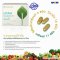 อาหารเสริม นูสกิน ไลฟ์แพ็ก nu skin pharmanex lifepak 023