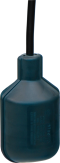 FLOAT SWITCH PUMP