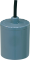 FLOAT SWITCH PUMP