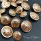 Shield Vintage buttons 15 mm