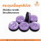 กระดุม 4 รู สีม่วงละมุน คุณภาพสูง สำหรับเสื้อผ้าแฟชั่นและงาน DIY