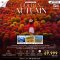 ทัวร์ซินเจียง อี้หนิง ทุ่งหญ้านาราถี เทียนซานฮวาไห่ Golden Autumn 8 วัน 7 คืน -CZ