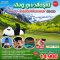 ทัวร์เฉิงตู ภูเขาสี่ดรุณี 5 วัน 3 คืน -FD