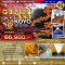 ทัวร์ญี่ปุ่น Golden Land Koyo โอซาก้า เกียวโต โครังเค คาวากูจิโกะ โตเกียว 7 วัน -TG