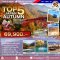 ทัวร์ญี่ปุ่น Top 5 Japan Autumn 7 วัน 4 คืน -TG