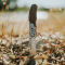 Smith & Wesson UNWAVERED Recurve