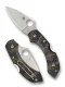Spyderco Dragonfly 2 Lightweight Zome Green