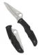 Spyderco Pacific Salt 2 H2