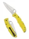 Spyderco Pacific Salt 2 H2