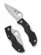 Spyderco Ladybug 3