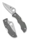 Spyderco Ladybug 3