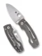 Spyderco PITS 2