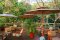 Rattan Chair