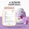 1แถม1 XS PROTEIN  PLANT-BASED PLUS PURPLE SWEET POTATO เอ็กซ์เอส โปรตีน แพลนท์-เบส พลัส มันม่วง