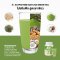 1แถม1 XS PROTEIN PLANT-BASED MATCHA GREEN TEA FLAVOR  เอ็กซ์เอส โปรตีน แพลนท์-เบส กลิ่นชาเขียวมัทฉะ