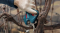 BOSCH Pro Pruner กรรไกรตัดกิ่งไฟฟ้า 12V ตัวเครื่องเปล่า ไม่รวมแบต (ของแท้/ประกันศูนย์)