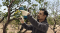BOSCH Pro Pruner กรรไกรตัดกิ่งไฟฟ้า 12V ตัวเครื่องเปล่า ไม่รวมแบต (ของแท้/ประกันศูนย์)