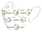 หน้ากากอนามัย 3D สำหรับเด็ก 20 ชิ้น ลาย Pochacco