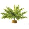 Exo Terra Rainforest Plant - Boston Fern 