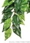 Exo Terra Silk Plant - Ficus -