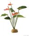 Exo Terra Rainforest Plant - Anthurium Bush