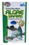 hikari algae wafers 40 กรัม