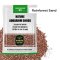 Greenosis Rainnnforesty Sand 2.5kg.