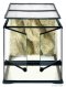 Exo Terra Wide Terrarium - Small - 45 x 45 x 45 cm (18