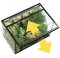 Exo Terra - Screen Cover 30 x 60 cm Screen Cover 30 x 60 cm For Glass Tank 24