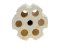 Lotus Root Bacteria House III