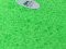 MountainTre Spiral Filter Mat Green