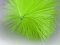 Small Square Brush