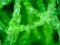 MountainTre Spiral Filter Mat Green