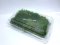 Terrarium moss มอสจัดเทอร์ราเรี่ยม