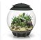 BIORB AIR 60 LED Terrarium