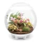 BIORB AIR 60 LED Terrarium