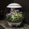 BIORB AIR 60 LED Terrarium