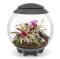 BIORB AIR 60 LED Terrarium