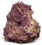 jurassic rock