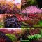 2Hr Aquarist Fertilizer