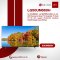 LG 50UM660H: LG 4K UHD Commercial Smart TV for Hospitality Use – 50 inch