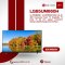 LG 65UM660H: LG 4K UHD Commercial Smart TV for Hospitality Use – 65 inch