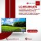 LG 65UR640S – LG Digital TV Signage 65" UHD Digital TV Signage Information Display with webOS 6.0