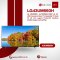 LG 43UM660H: LG 4K UHD Commercial Smart TV for Hospitality Use – 43 inch