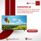 85NU85CB LG Hotel TV 85-inch 4K UHD Smart TV with Google Cast and LG Shield for Hospitality | By JJSATs