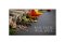 65UL5Q-E - LG 65 inch 4K UHD Digital Signage Brightness 500 nits